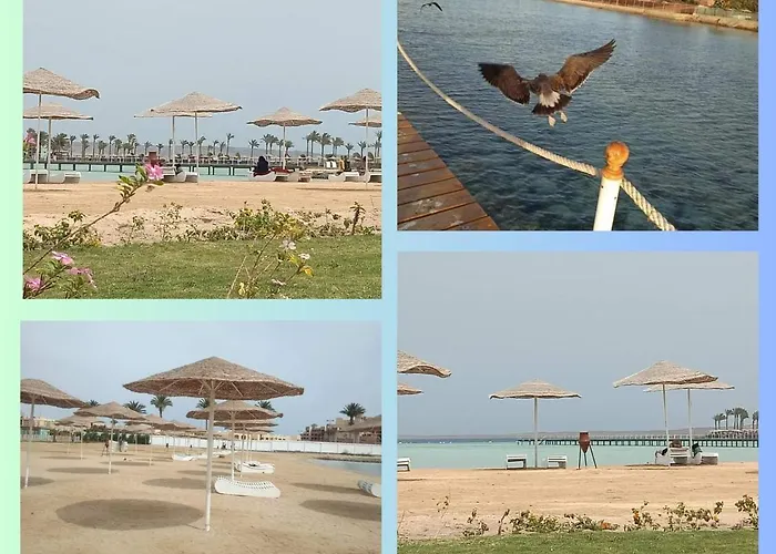 Scandic Resort: Comfy & Cozy. A433 * Hurghada